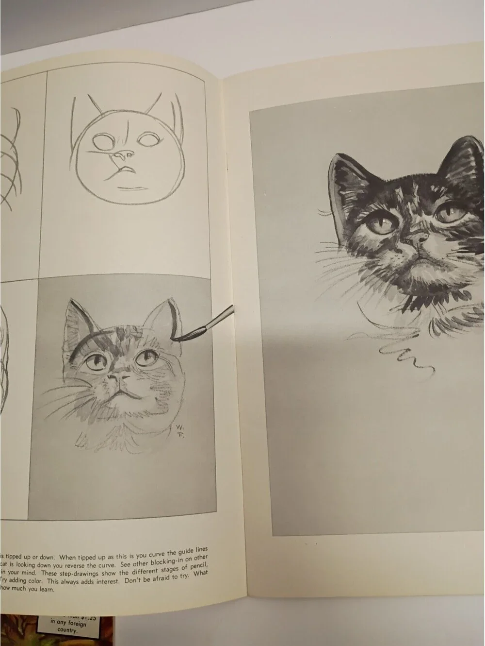 *2*  VINTAGE Large Books-How To Draw Horses & How To Draw Cats by WALTER FOSTER